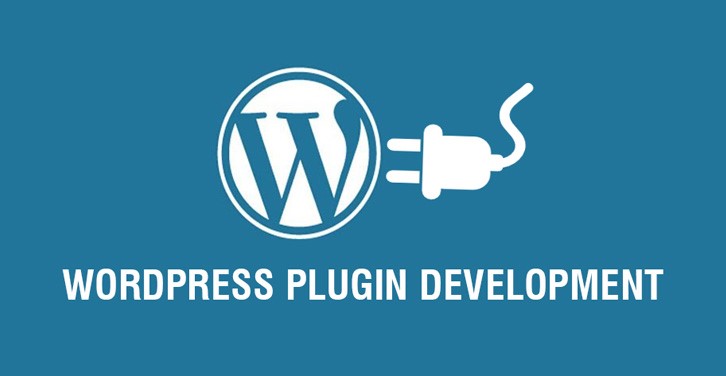 Plugin Development Company