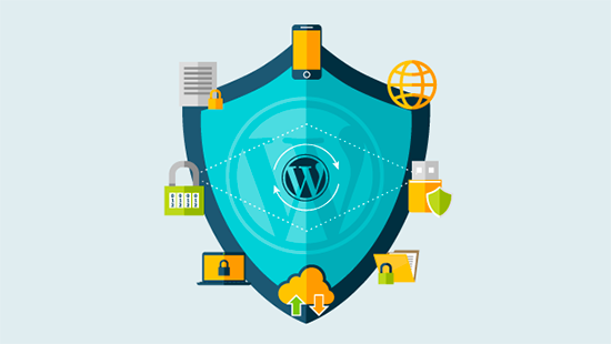 security of wordpress